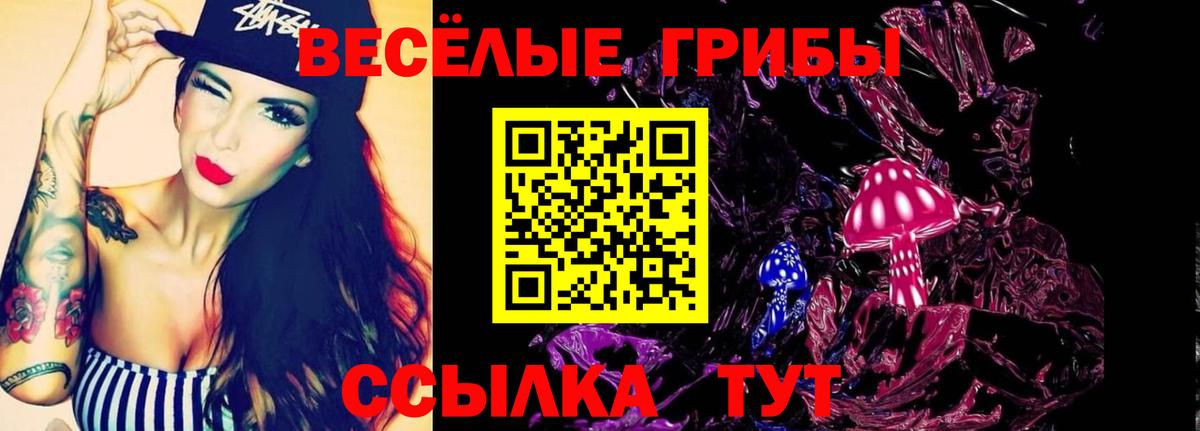 Одинцово  Псилоцибиновые грибы MAGIC MUSHROOMS  Вход с VPN 